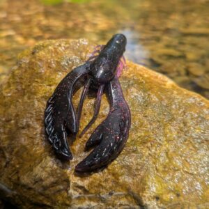 Tequila Sunrise Craw 4in Craw